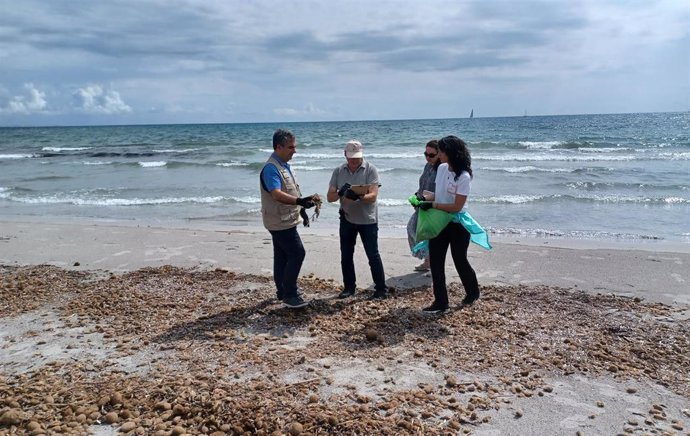 El consejero en funciones de Medio Ambiente, Mar Menor, Universidades e Investigación, Juan María Vázquez, recoge residuos en Las Salinas de San Pedro del Pinatar junto a la directora general de Medio Natural, María Cruz Ferreira, y otros LIBERAdores.