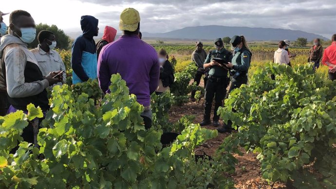 Archivo - Guardia Civil en La Rioja intensifica las actuaciones contra la explotación laboral y la trata de personas durante la vendimia