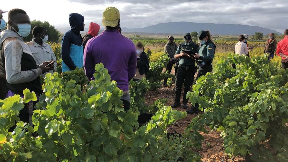 Archivo - Guardia Civil en La Rioja intensifica las actuaciones contra la explotación laboral y la trata de personas durante la vendimia