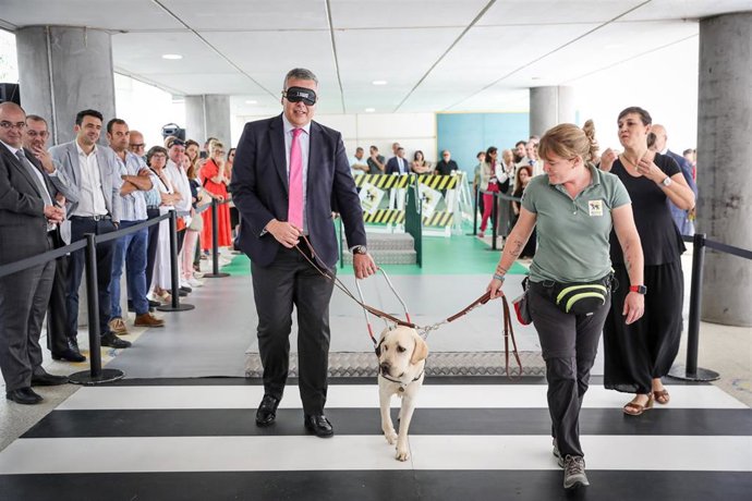 Vídeo de la noticia