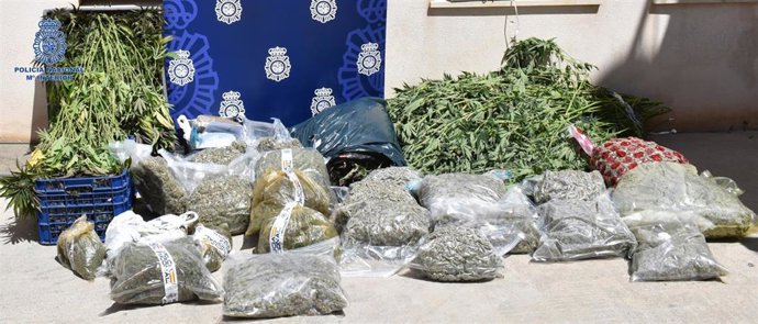 Detenidas siete personas en Ibiza dedicadas al cultivo de plantaciones de marihuana en Santa Eulria
