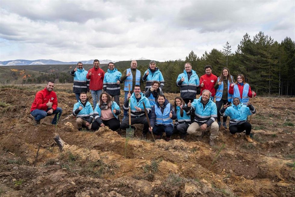 Archivo - Alsa inicia su proyecto de reforestación para compensar la huella de carbono de los viajes en autobús