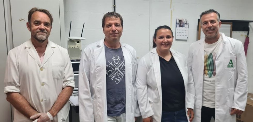 Grupo de investigación que ha participado en el estudio.