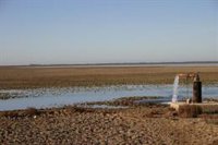 Organizaciones se concentran este martes en el Parlamento en contra de la PDL sobre regadíos en Doñana