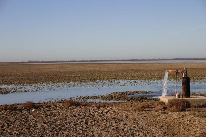 Archivo - Acuífero en Doñana.