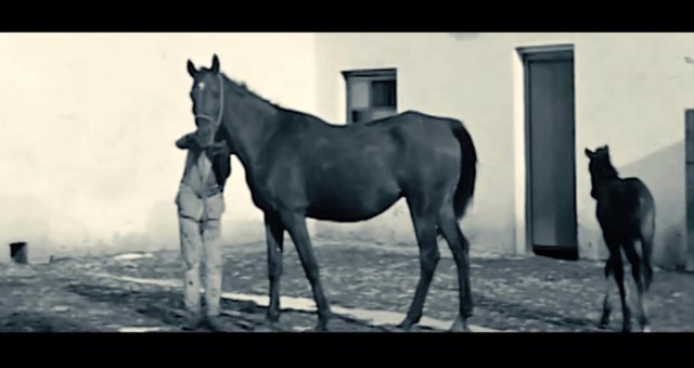 Un fotograma de 'El Caballo Español, el origen'.