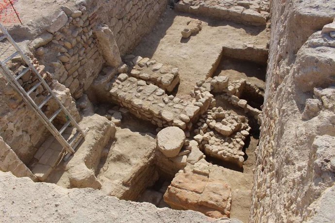 Parte de los restos encontrados.