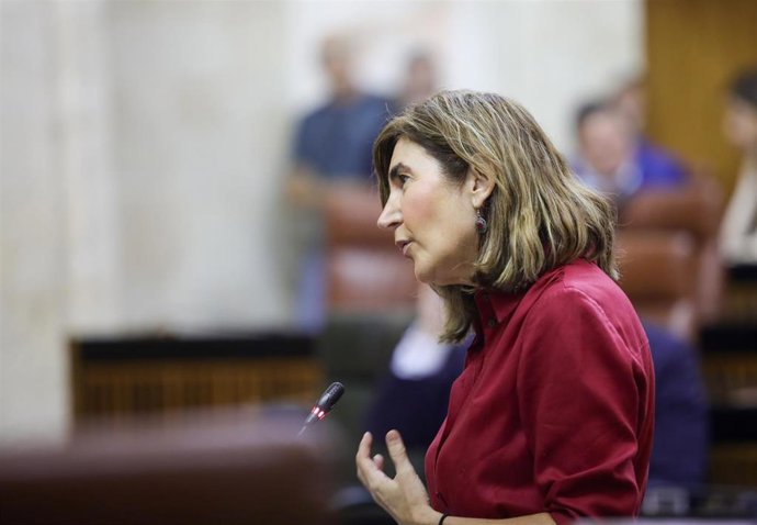 La consejera de Empleo, Empresa y Trabajo Autónomo, Rocío Blanco, en el Pleno del Parlamento