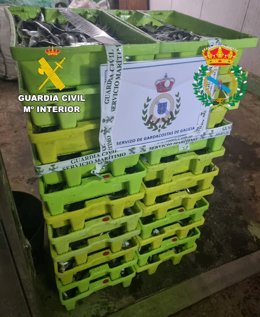 Incautados 244 kilos de sardinas capturados sin documentación en el puerto de Portosín, en Porto do Son (A Coruña)