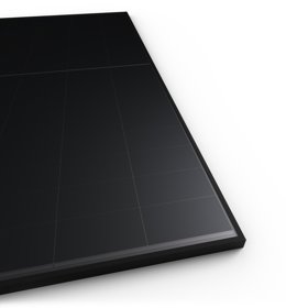 RECOM Black Tiger I