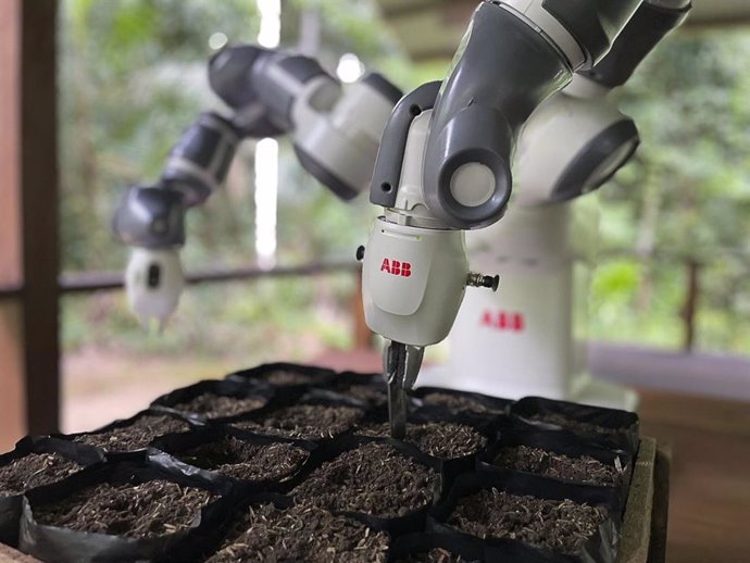 ABB Robotics y la ONG Junglekeepers reforestan con un robot operado desde Suecia la selva del Amazonas peruano.