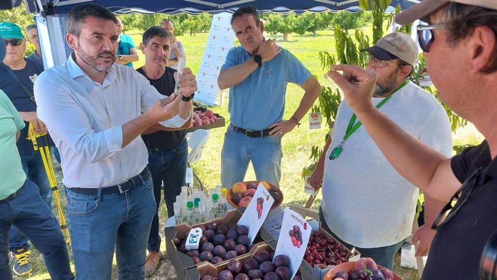 El consejero en funciones, Antonio Luengo, durante la presentación de las nuevas variedades de fruta de hueso del IMIDA.