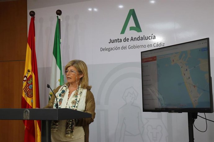 Np Desarrollo Educativo Y Fp (La Junta Oferta 39 Nuevos Ciclos Formativos De Fp En Cádiz Y Más De 21.300 Plazas De Nuevo Ingreso)