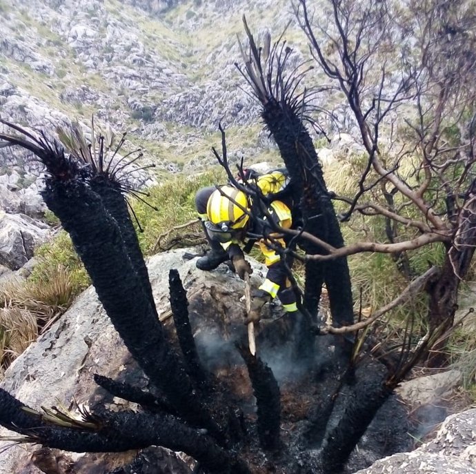 Extinguen un pequeño incendio forestal en el término municipal de Pollena provocado por un rayo.