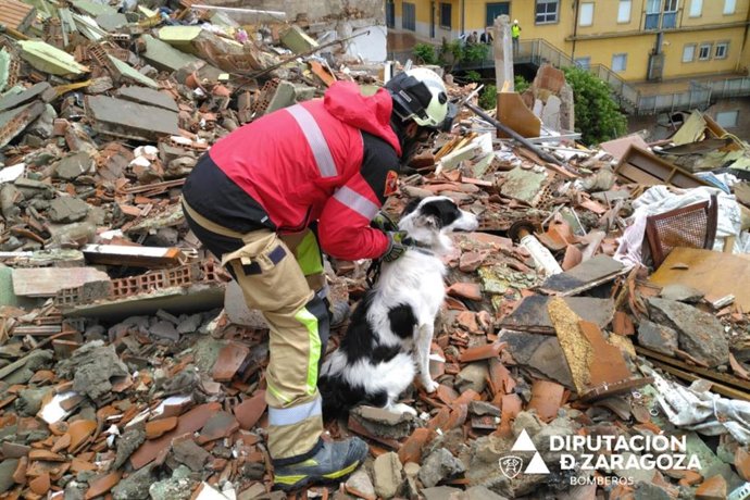 Un bombero de la DPZ con un perro especializado en la búsqueda de personas