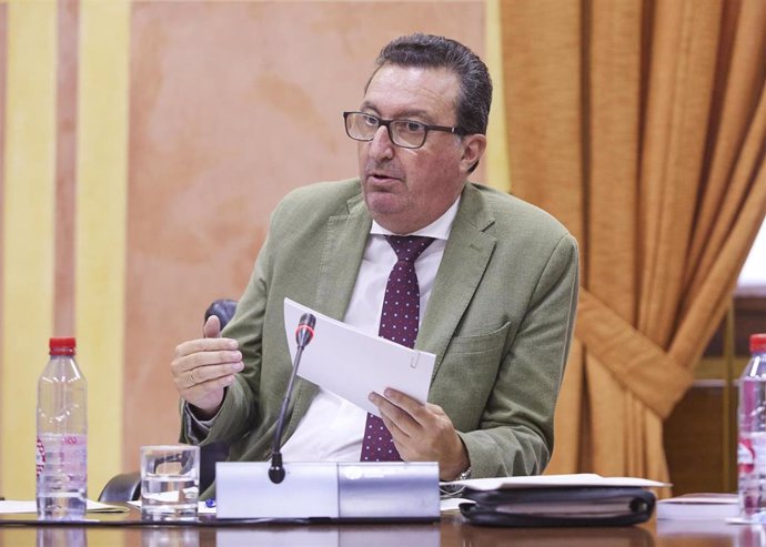 El parlamentario del PP-A Manuel Andrés González, en comisión parlamentaria.