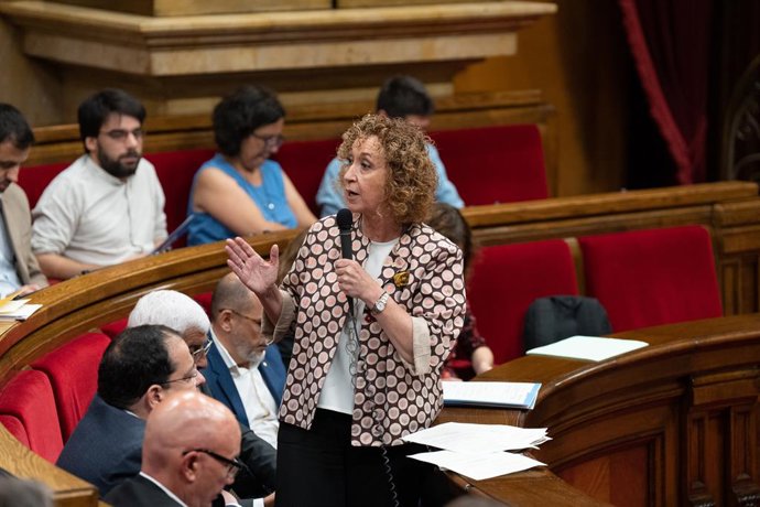 La consellera de Territori, Ester Capella