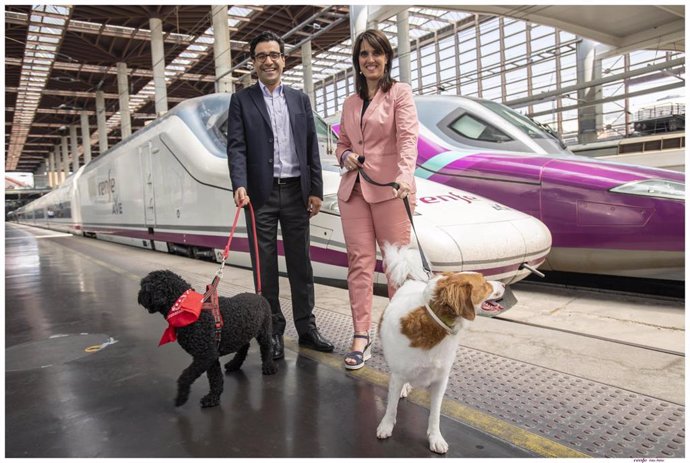 Archivo - Perros viajando en Renfe