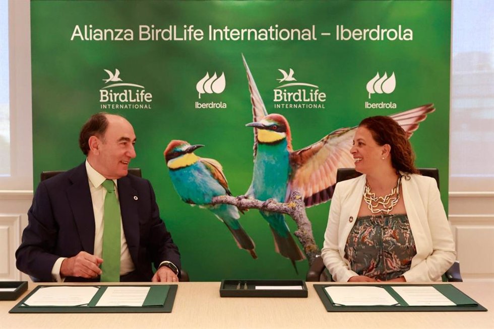 El presidente de Iberdrola, Ignacio Galán, y la directora ejecutiva de BirdLife International, Patricia Zurita, acuerdan impulsar un desarrollo renovable que favorezca la biodiversidad y la lucha contra el cambio climático.