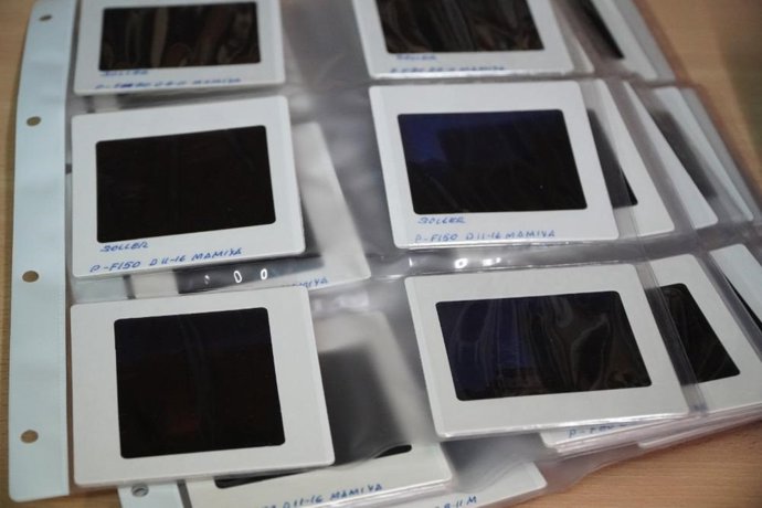 Imagen de una de las aportaciones al Archivo de Sonido y la Imagen del Consell de Mallorca.