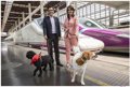 Renfe también permitirá perros de hasta 40 kilos en los AVE entre Madrid, Alicante y Valencia