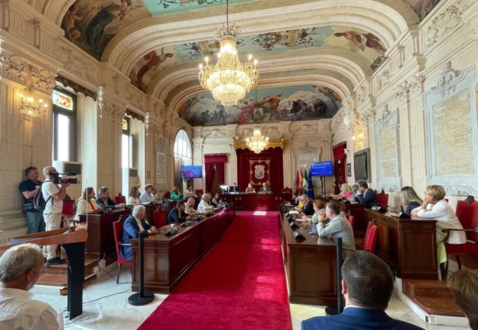 Pleno del Ayuntamiento de Málaga