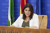 PSOE-A denuncia el "desprecio" de la Junta a la ley de Memoria, "tan enterrada como miles de andaluces en fosas comunes"