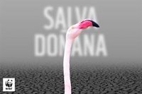 WWF señala que más de un millar de científicos "se suman al rechazo" de la PDL de los regadíos en Doñana (Huelva)