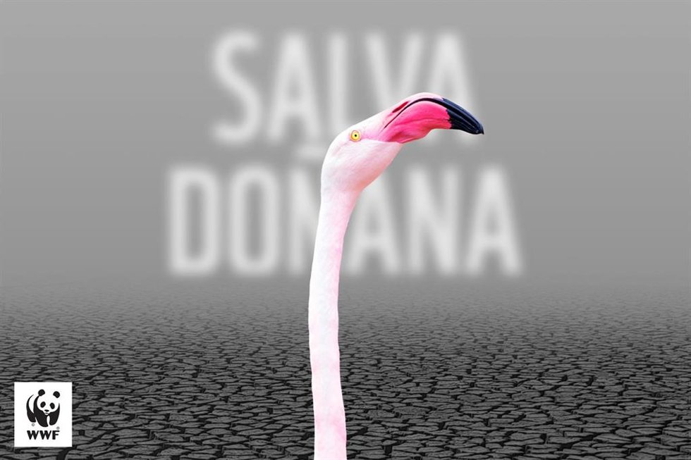 Archivo - Cartel de WWF contra la PDL de modificación de regadíos de la Corona Norte de Doñana, en Huelva.