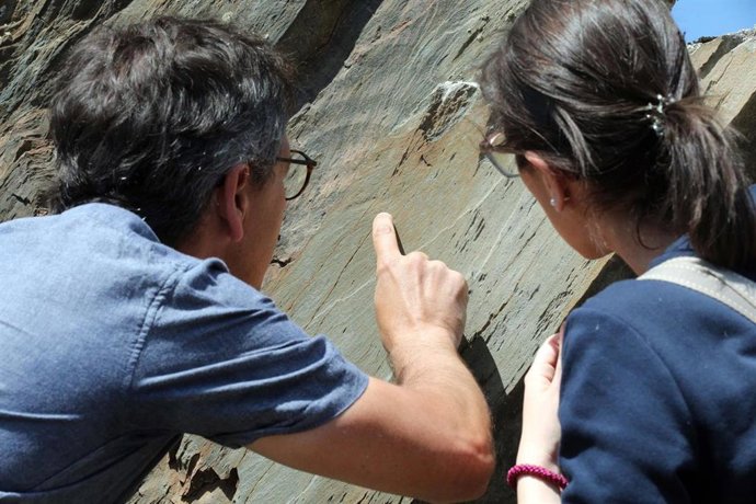 Yacimiento de Siega Verde.