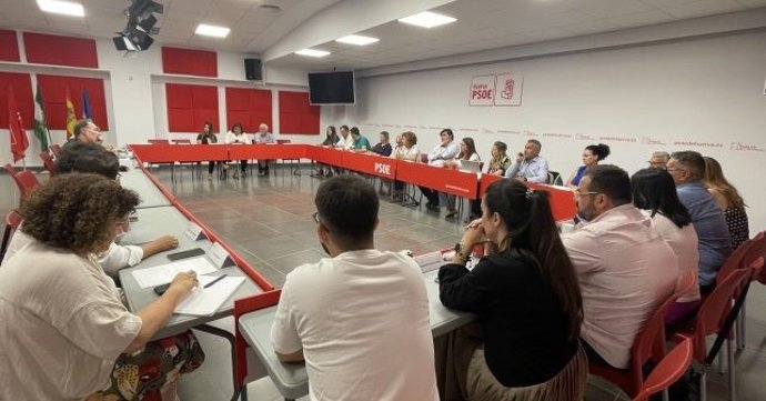 PSOE elige a sus representantes en la Diputación Provincial