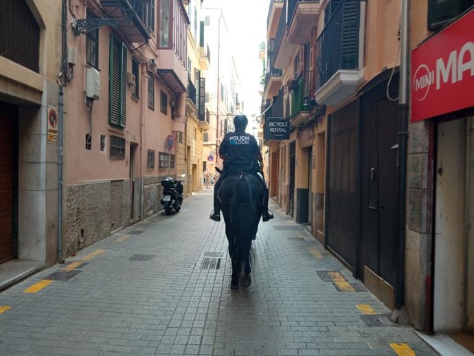 Archivo - Agente a caballo de la Policía Local de Palma.