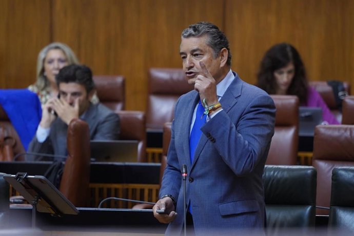 El consejero de la Presidencia, Antonio Sanz, este jueves en el Pleno del Parlamento.