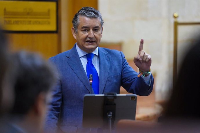 El consejero de la Presidencia, Interior, Diálogo Social y Simplificación Administrativa, Antonio Sanz, en el Pleno del Parlamento andaluz.