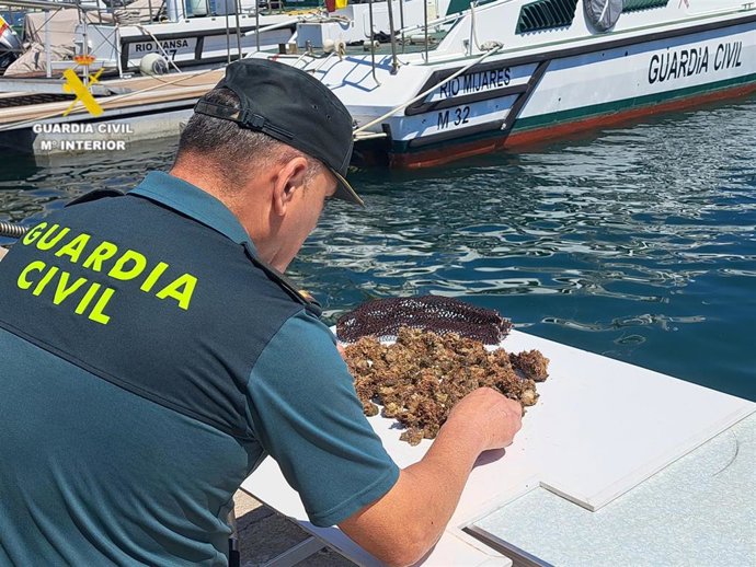 Intervención de 'caixetes'