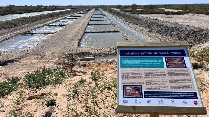 SEO/BirdLife y Salarte recuperan con prácticas económicas sostenibles las salinas de Balbanera de Puerto Real