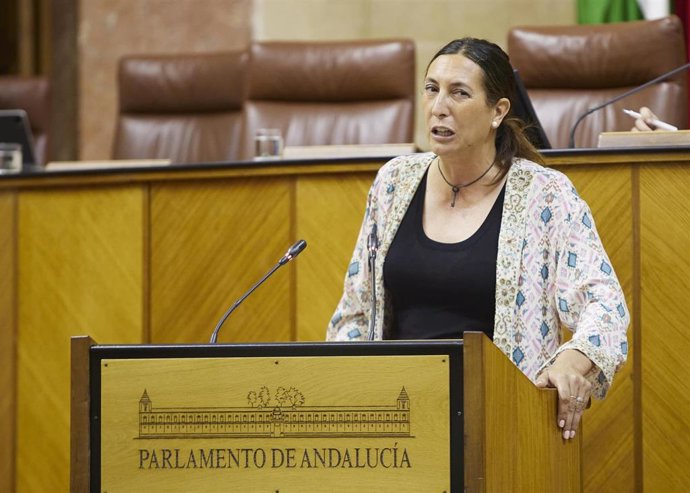 La consejera de Inclusión Social, Juventud, Familias e Igualdad, Loles López, en el Pleno del Parlamento andaluz.