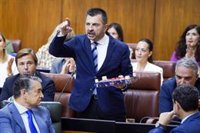 Moreno cifra en 700 hectáreas el alcance de la ley de regadíos en Doñana y pide al Gobierno alternativa "seria"