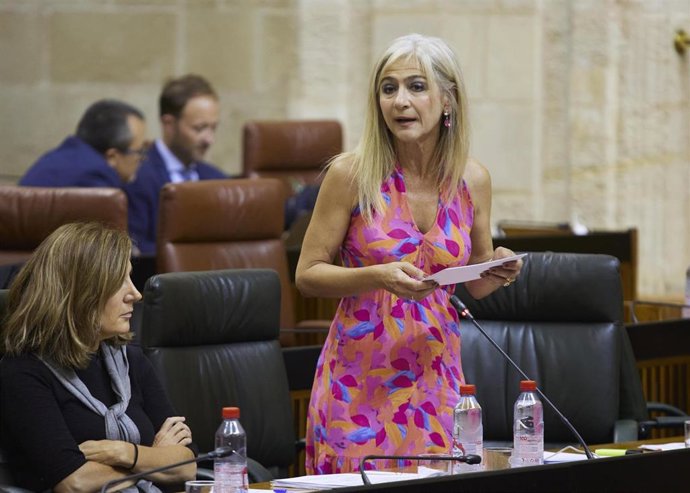 La consejera de Desarrollo Educativo y Formación Profesional, Patricia del Pozo, en sede parlamentaria.