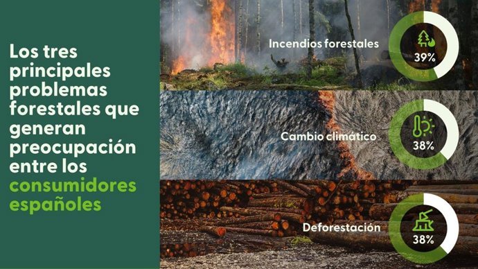 Infografía con los tres principales problemas forestales que generan preocupación entre los consumidores españoles