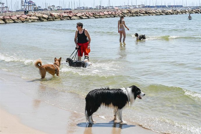 Ndp + Fotos Inici De La Temporada De La Platja Canina De Pinedo