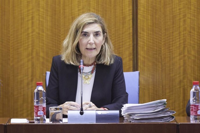 Archivo - La consejera de Empleo, Empresas y Trabajadores Autónomos de la Junta de Andalucía, Rocío Blanco, en una imagen de archivo.