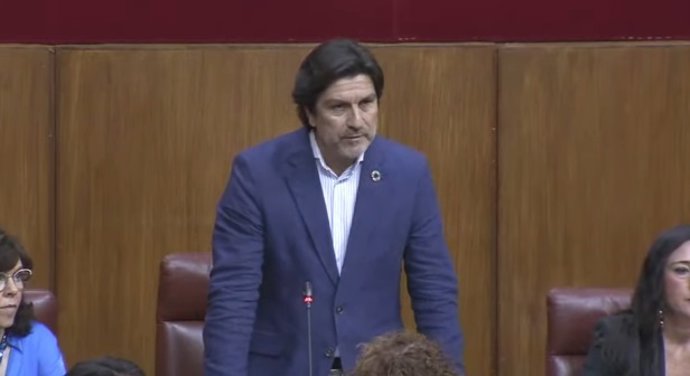 El parlamentario onubense Enrique Gaviño en el Pleno