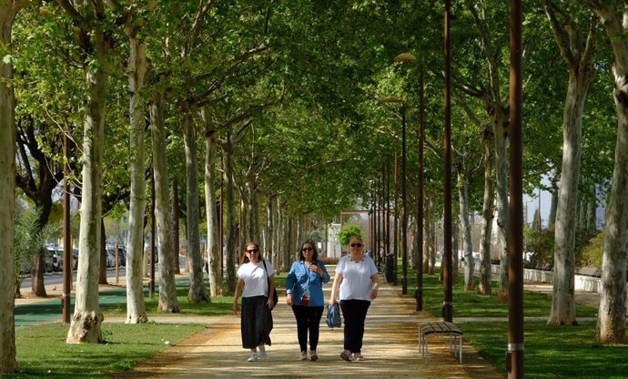 Archivo - El Paseo de Torneo tras las obras de reurbanización