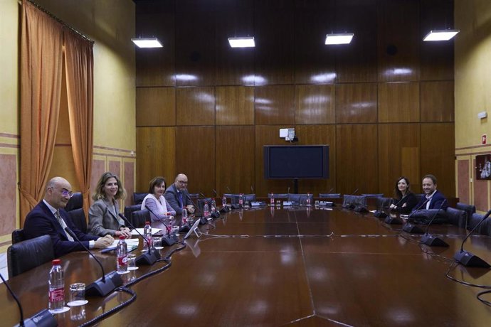 Archivo - Comisión de la Faffe del Parlamento andaluz 