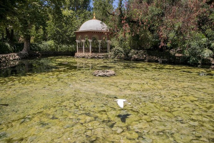 Archivo - La Isleta de los Patos del parque María Luisa de sevilla invadida por las algas en una imagen de archivo.