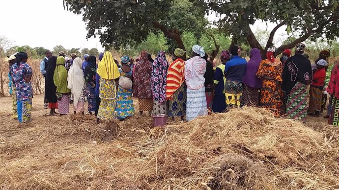 Archivo - Un proyecto para mejorar el acceso a agua y alimentación en Senegal gana una convocatoria del Grupo Tragsa