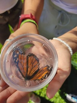 Actividades de 'Ciencia al Descubre'