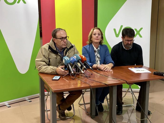 Archivo - Rueda de prensa de diputados y senador electos de VOX, Luis Gestoso, Lourdes Méndez y Joaquín Robles, para valorar resultados del 10N.