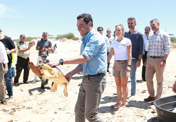 El presidente de la Junta de Andalucía, Juanma Moreno, participa en la suelta de una tortuga boba en Rota (Cádiz)